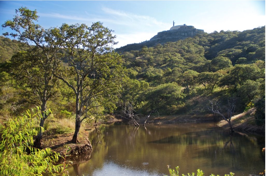 Guanajuato invertirá 116 millones para conservar bosques