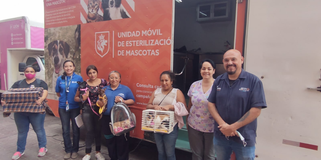 esterilizaciones para mascotas León (1)