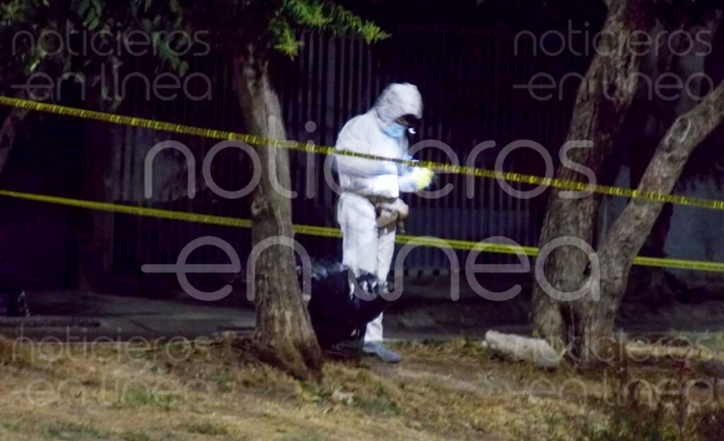 Hallan restos humanos en Prados Verdes, León