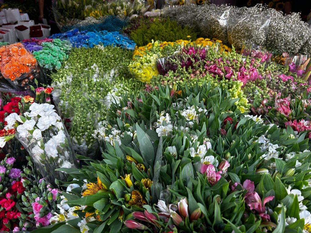 Florerías de León esperan buenas ventas de cempasúchil para el Día de Muertos