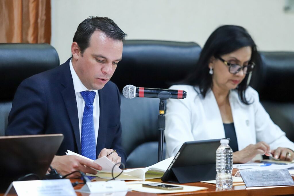 Aprueban reglamento y consejo municipal para erradicar la violencia contra las mujeres