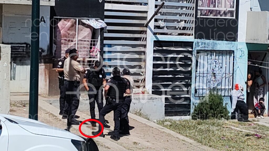 Descubren a perro devorando órganos humanos en Brisas del Campestre