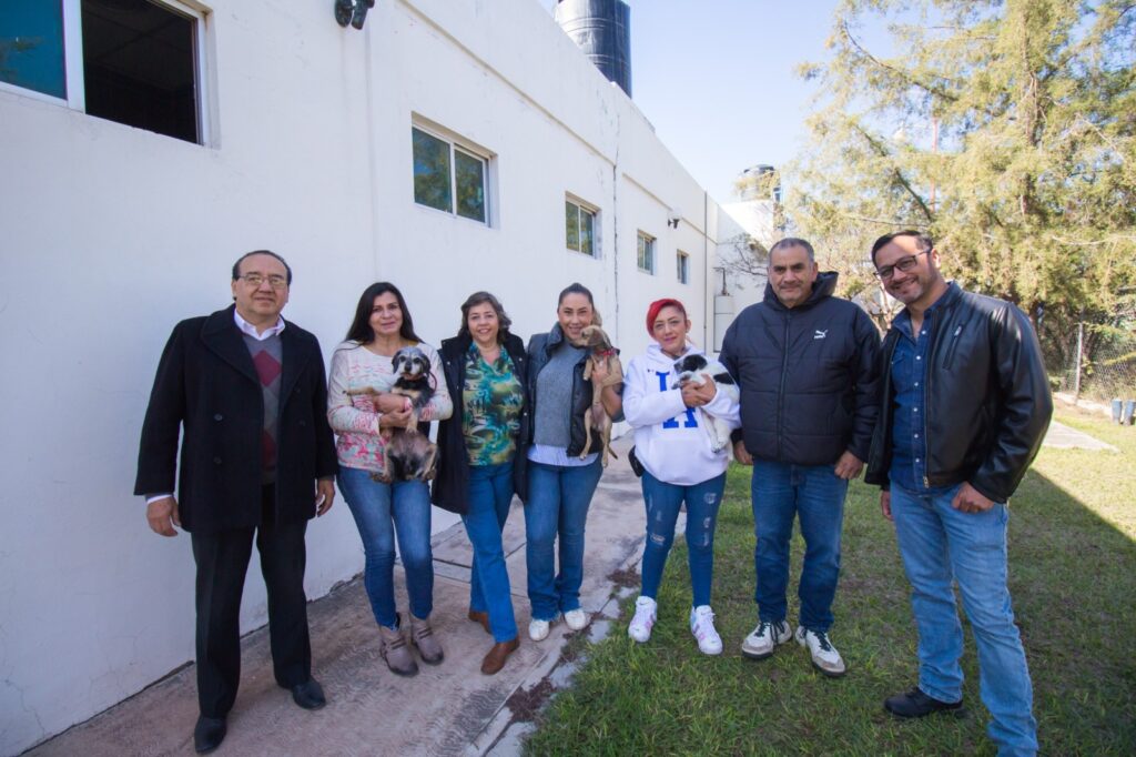 Animalistas piden tomar conciencia al adoptar mascotas para regalos de Navidad