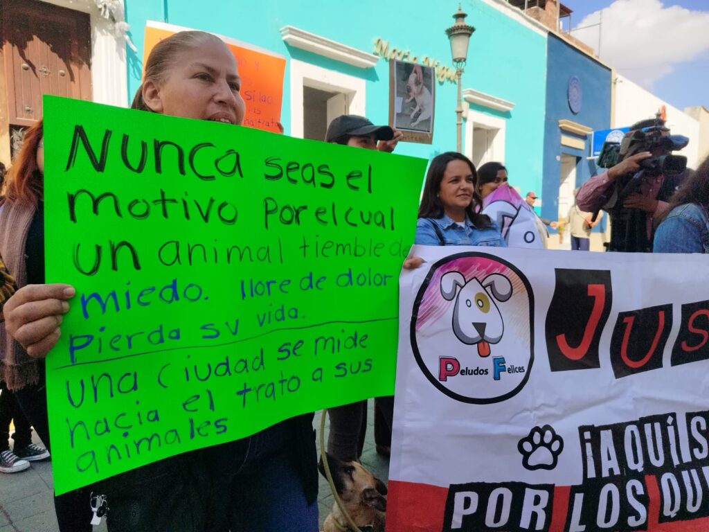 Protestan contra alcalde de Silao por desatender maltrato animal