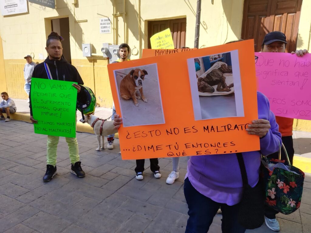 Protestan contra alcalde de Silao por desatender maltrato animal