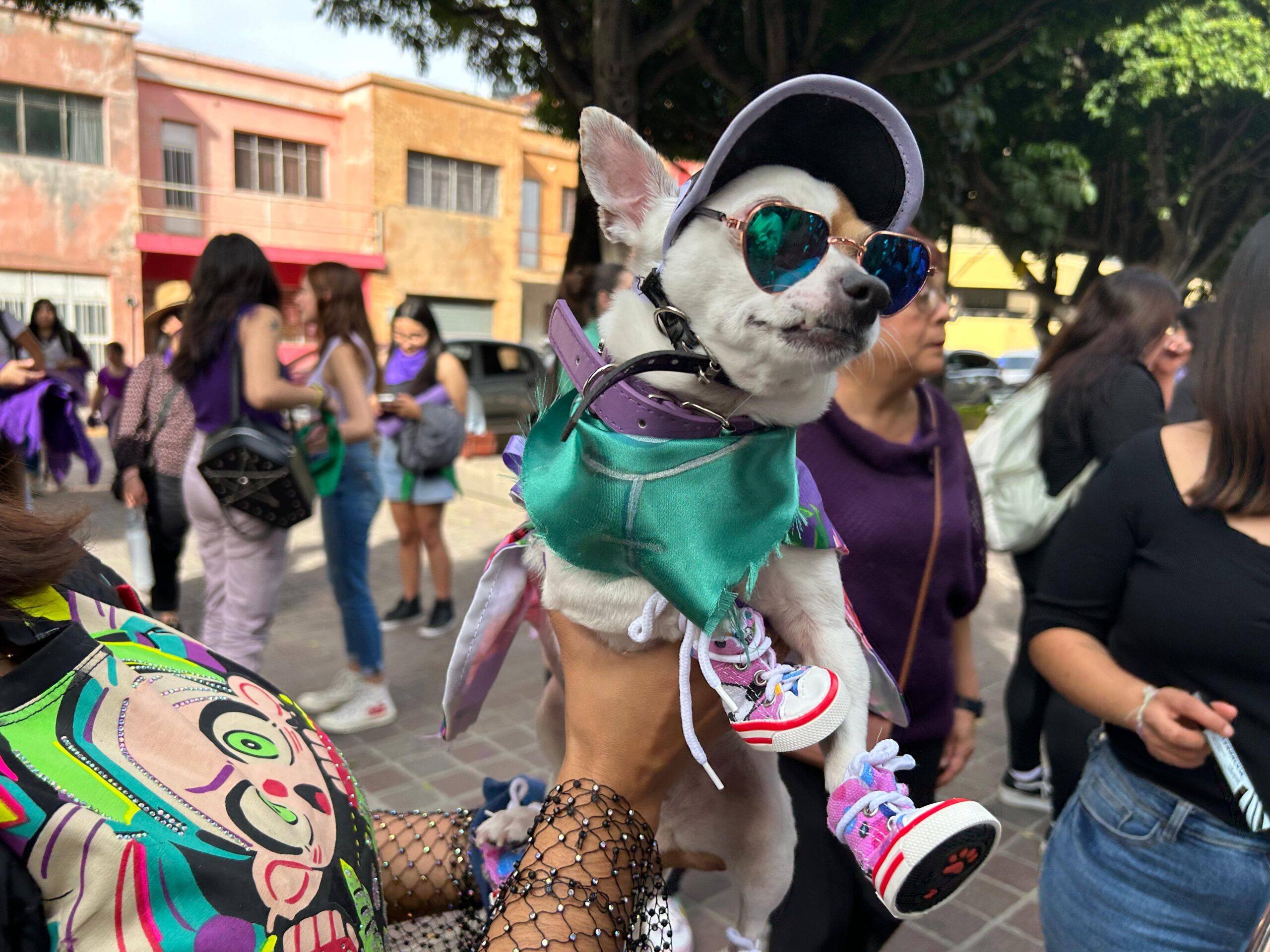 Algunas mujeres llevaron a sus mascotas a la marcha 8m en León.