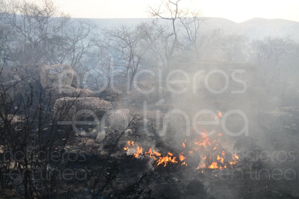 Incendio en Mesa de la Virgen consume más de 100 hectáreas de pastizal
