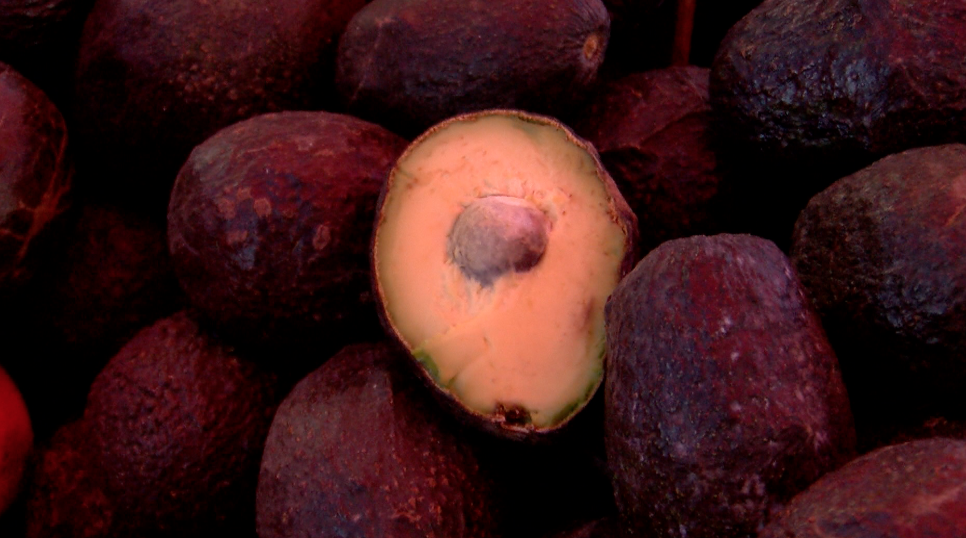 Altas temperaturas generan mermas en fruterías y verdulerías