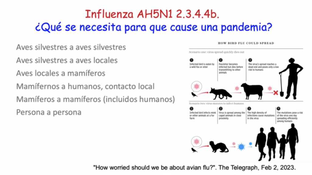 Influenza aviar H5N1 puede detonar nueva pandemia, advierte Alejandro Macías 