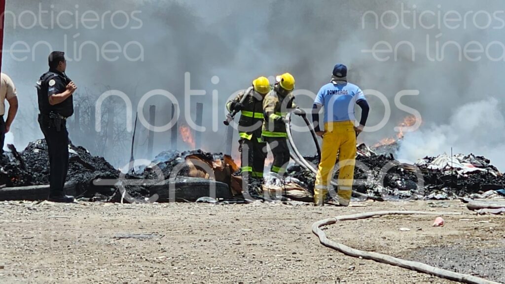 Reportan incendio en pastizal de la comunidad Granjas Económicas