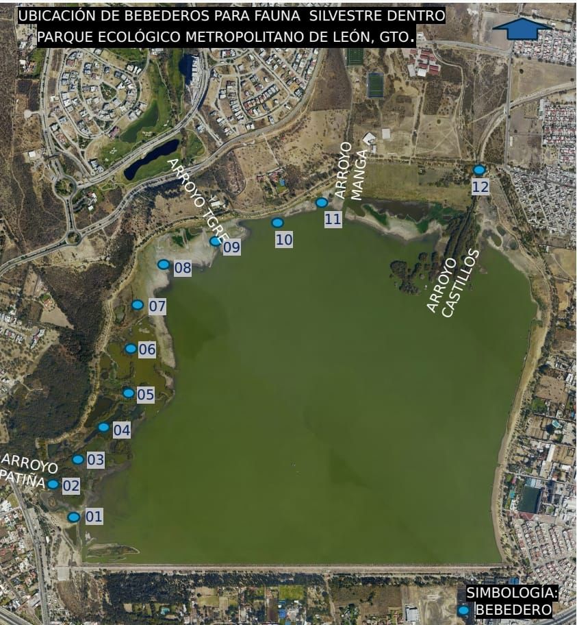 Colocan bebederos agua para hidratar a la fauna en Parque Metropolitano