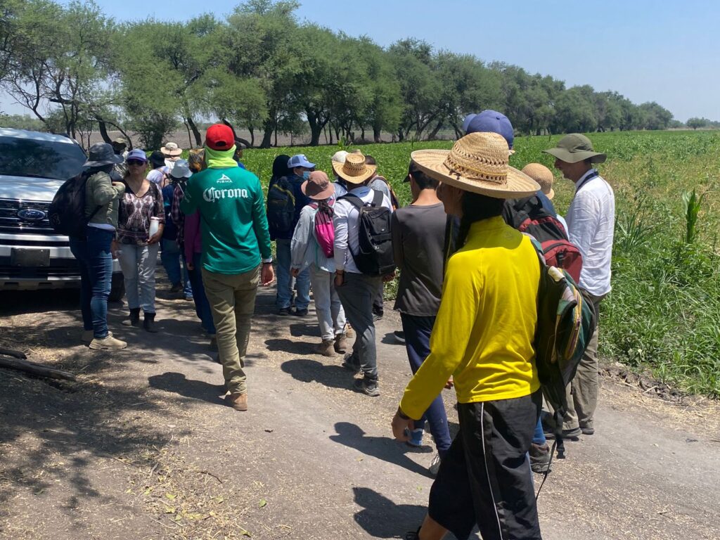 Buscan a niño jornalero desaparecido en León
