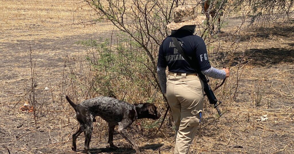 Buscan a niño jornalero desaparecido en León
