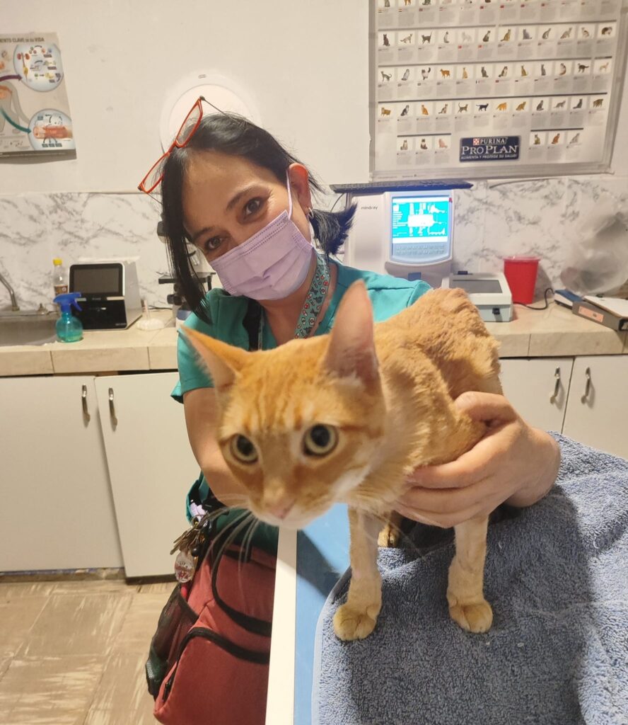 Tandeo de agua pega a albergues de animales en León