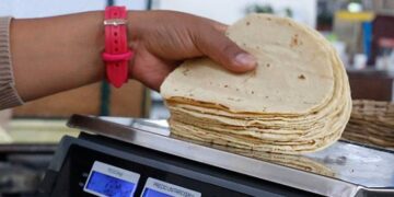 Tortilla en Guanajuato se mantiene por venta de maíz a menor costo