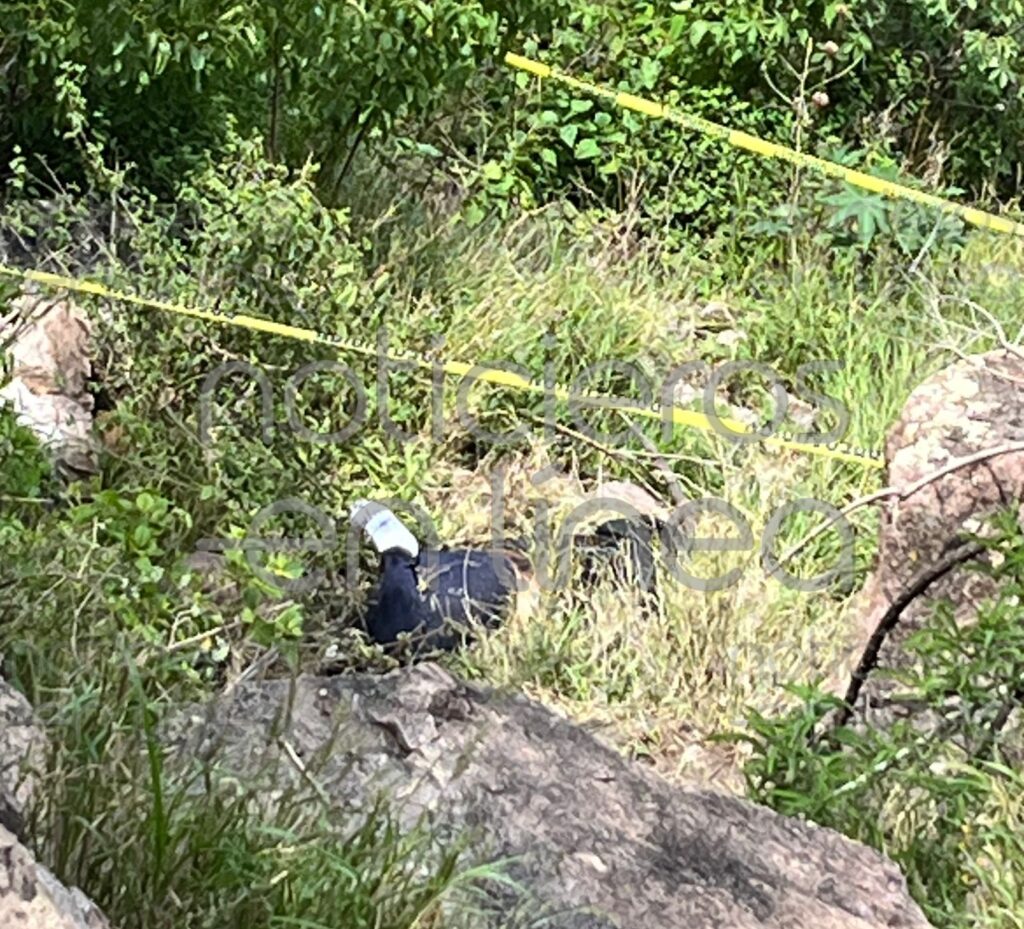 Hallan cuerpo de mujer en barranco de la colonia Periodistas Mexicanos