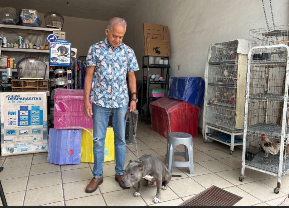Reconoce especialista falta de la cultura de salud animal
