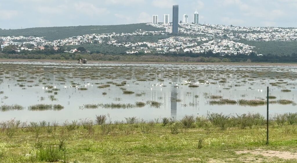 Tandeo de agua se mantendrá en 100 colonias de León