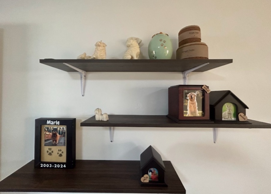 Incrementan las incineraciones de mascotas en León