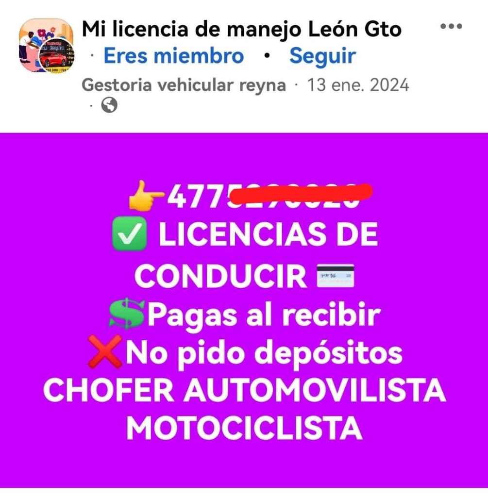 Fraude en licencias de conducir en Guanajuato: este es el modus operandi