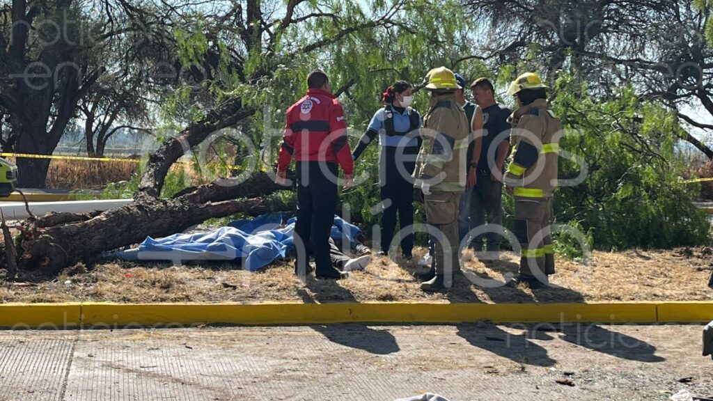 Mueren tres menores y una adolescente; salieron proyectados de una camioneta