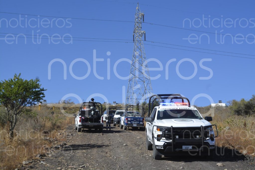 Perros desentierran un cráneo y varios huesos humanos en León
