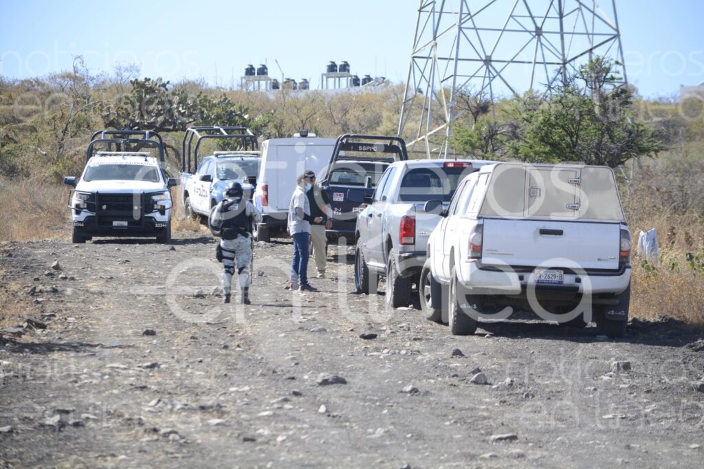 Perros desentierran un cráneo y varios huesos humanos en León
