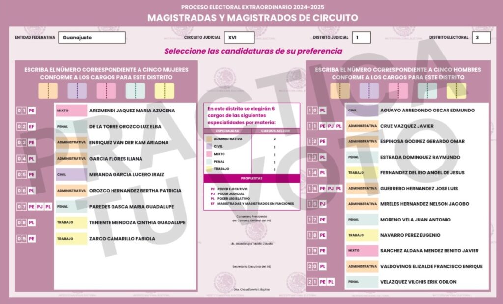 Boleta de Magistradas Y Magistrados De Circuito