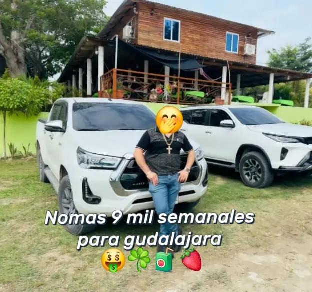 ¡Cuidado! Crimen organizado usa TikTok para reclutar jóvenes