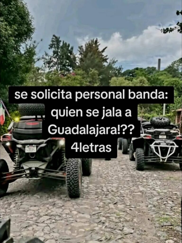 ¡Cuidado! Crimen organizado usa TikTok para reclutar jóvenes