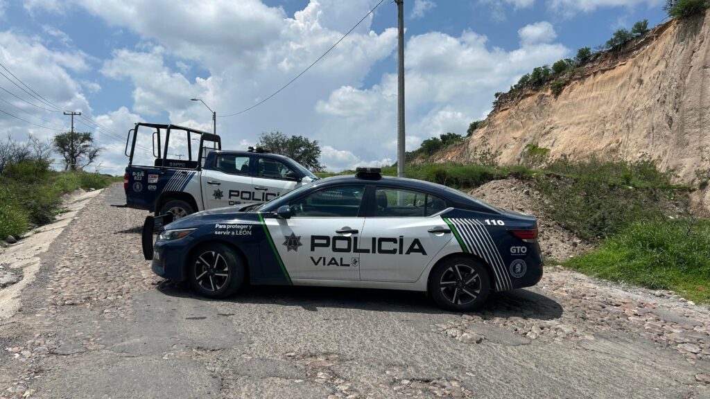Hallan a perros devorando piernas humanas en León